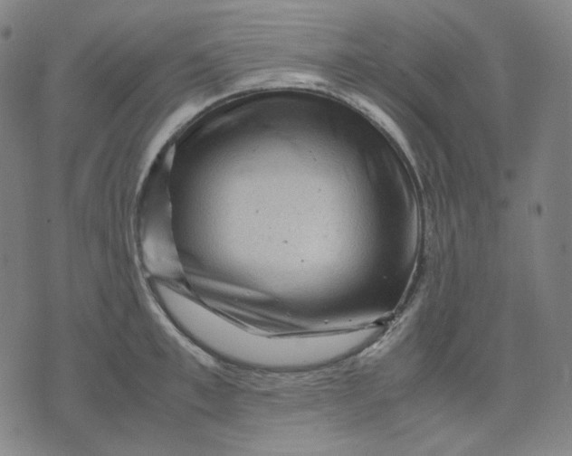 X0000071790997200607211617