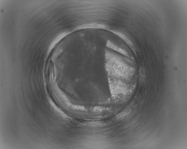 X0000071790998200607211617