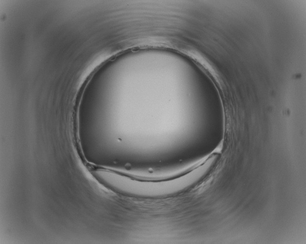 X0000071790999200607211617