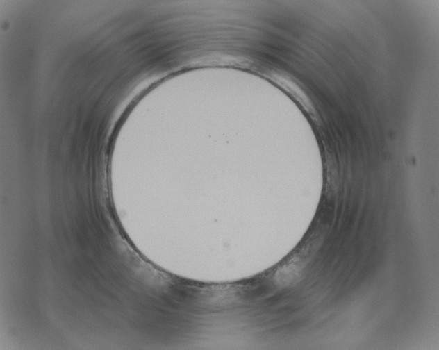 X0000071791000200607211617