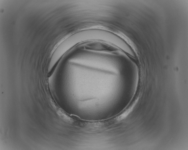 X0000071791001200607211617