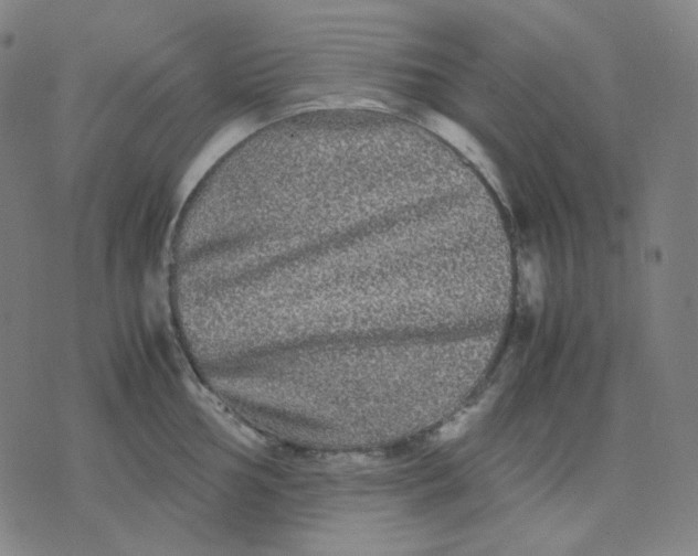 X0000071791002200607211617