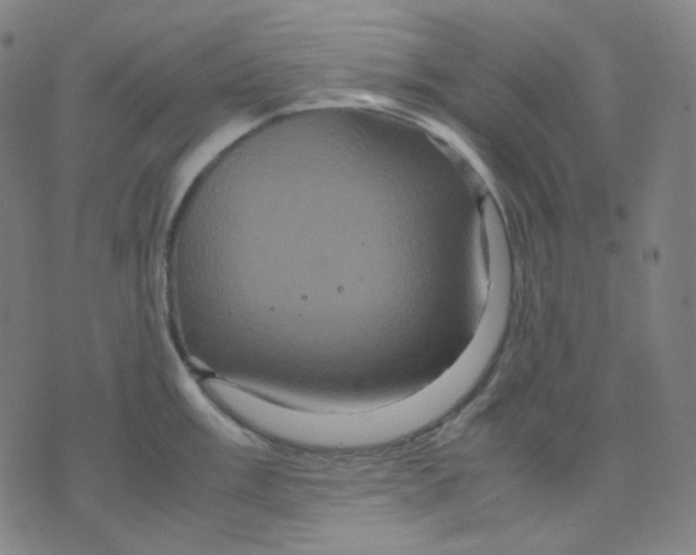 X0000071791003200607211617