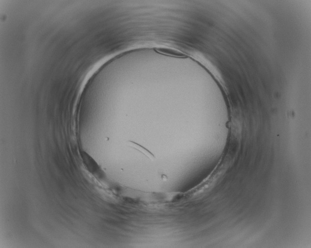 X0000071791004200607211617