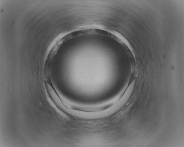 X0000071791005200607211617