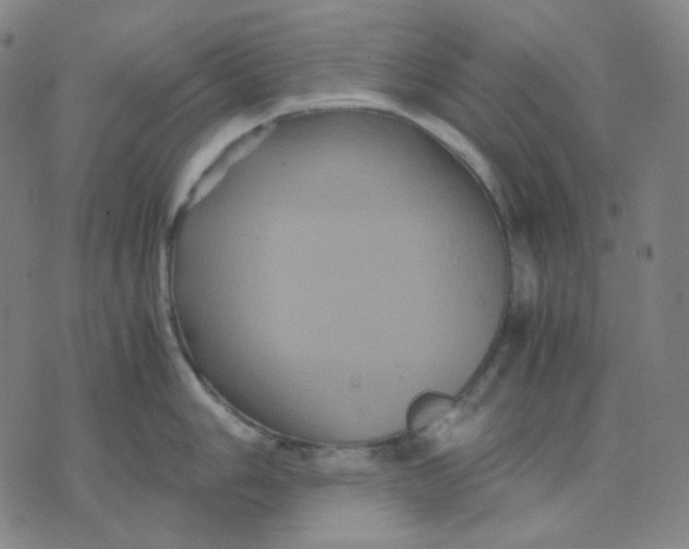 X0000071791006200607211617