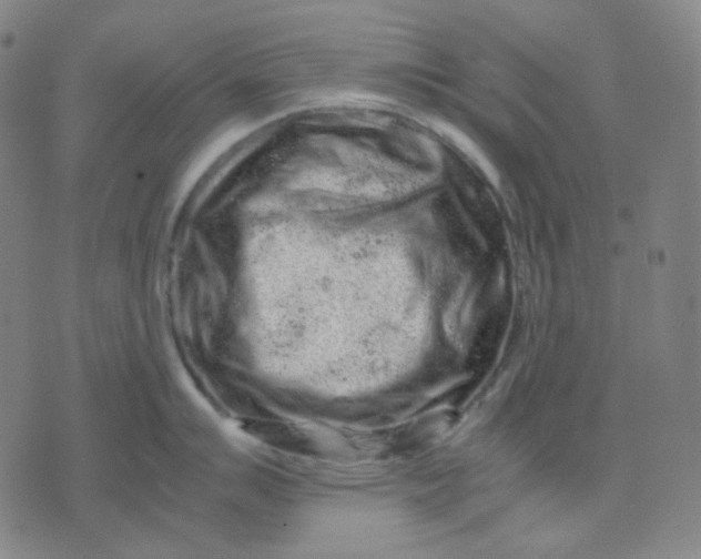 X0000071791007200607211617