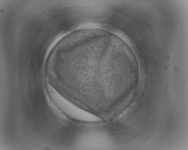 X0000071791008200607211617