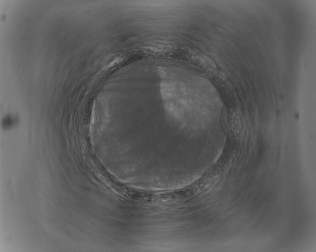 X0000071791009200607211616