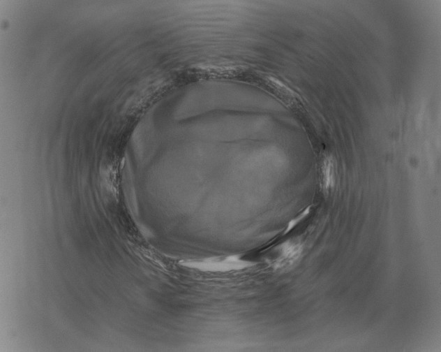 X0000071791010200607211616