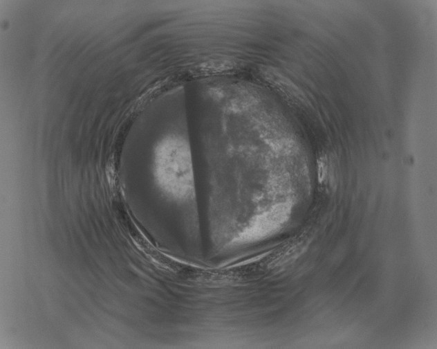 X0000071791011200607211616