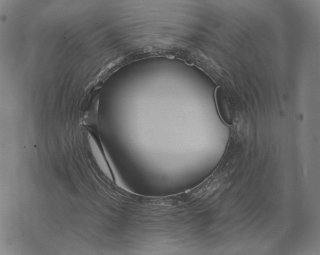 X0000071791012200607211616