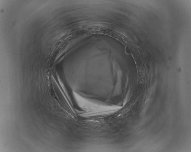 X0000071791013200607211616