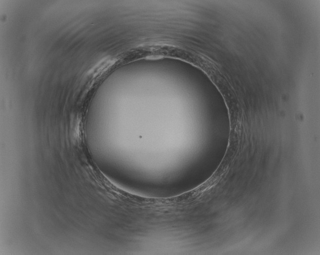 X0000071791014200607211616