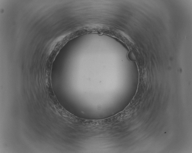 X0000071791016200607211617