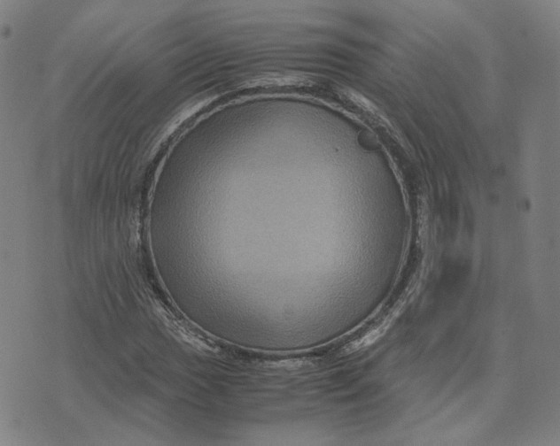 X0000071791017200607211617