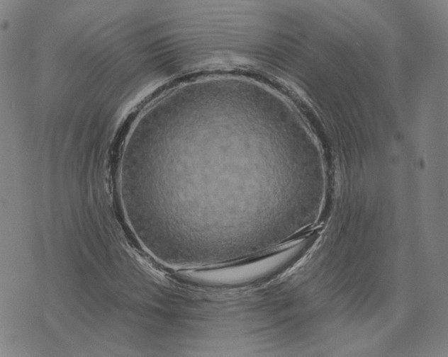 X0000071791018200607211617