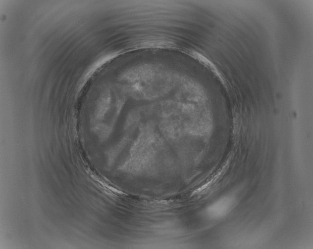 X0000071791019200607211617