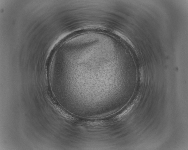 X0000071791021200607211617