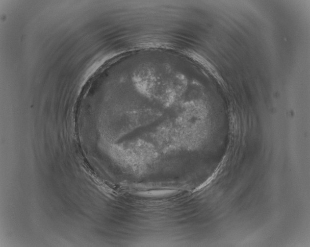 X0000071791023200607211617