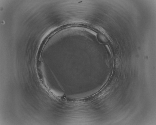 X0000071791024200607211617