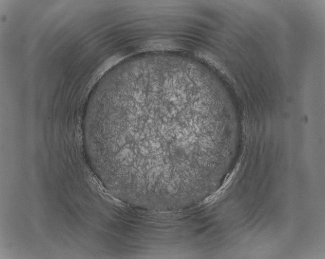 X0000071791025200607211617