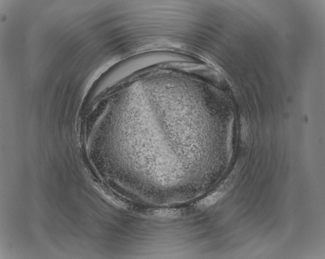 X0000071791026200607211617