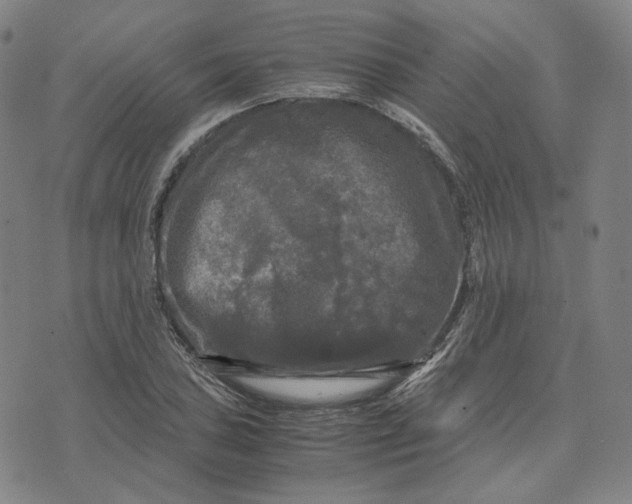 X0000071791027200607211617