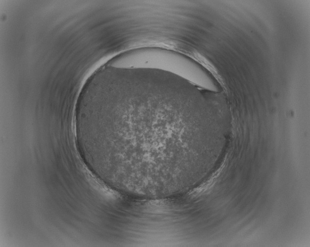 X0000071791028200607211617