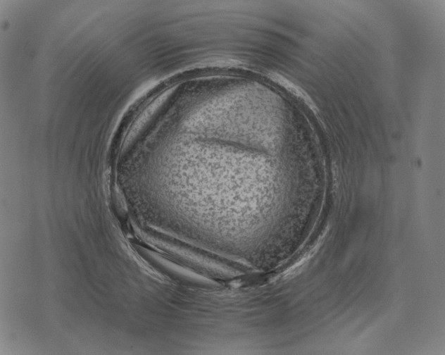 X0000071791029200607211617