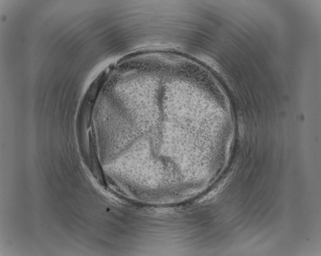 X0000071791030200607211617