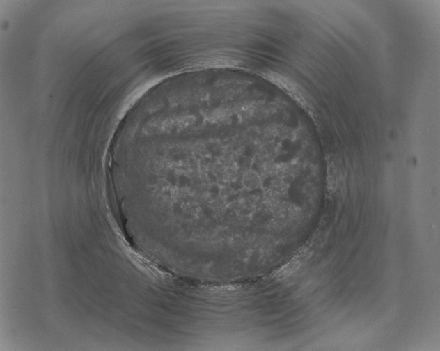 X0000071791031200607211617