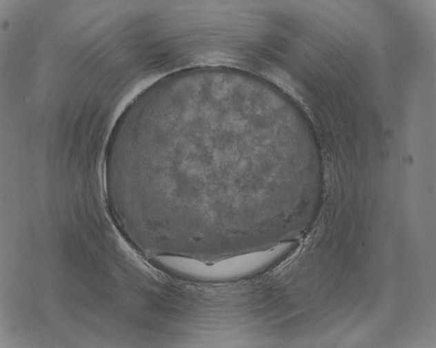 X0000071791032200607211617