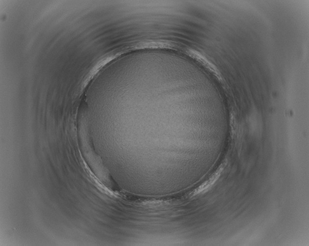 X0000071791033200607211617