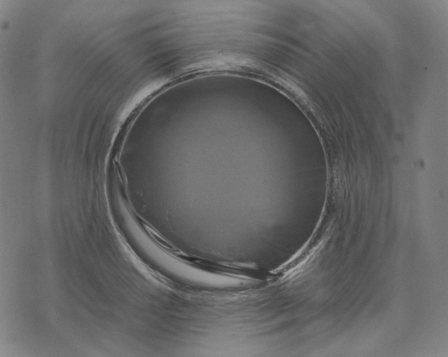 X0000071791034200607211617