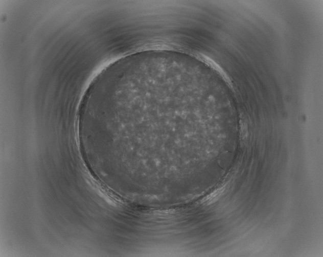 X0000071791035200607211617