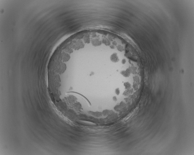 X0000071791036200607211617