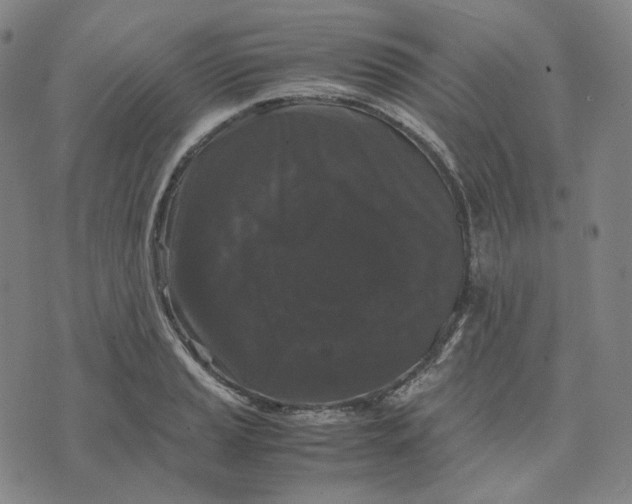 X0000071791037200607211617