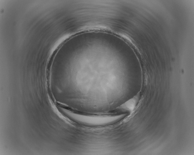 X0000071791038200607211617