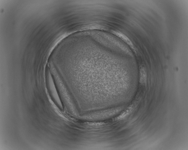 X0000071791039200607211617