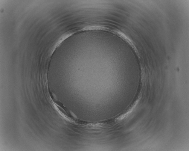 X0000071791041200607211617