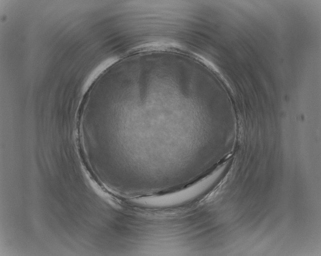 X0000071791042200607211617