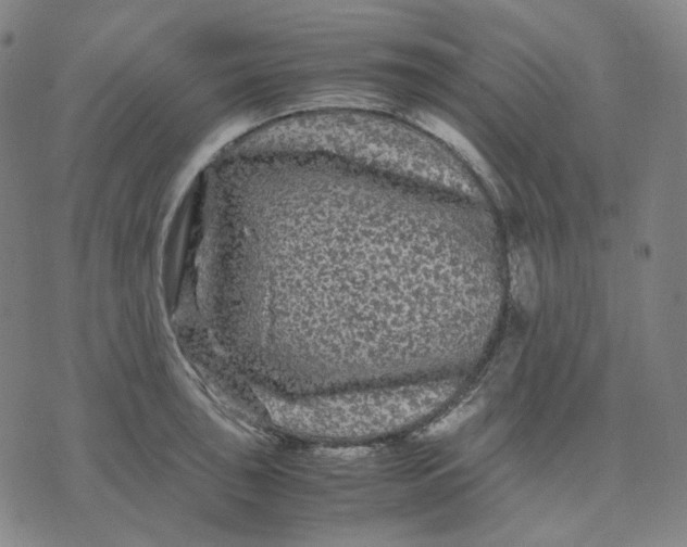 X0000071791043200607211617