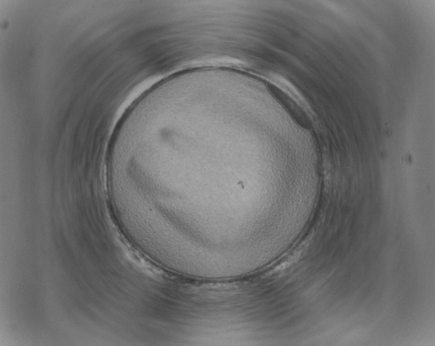 X0000071791044200607211617