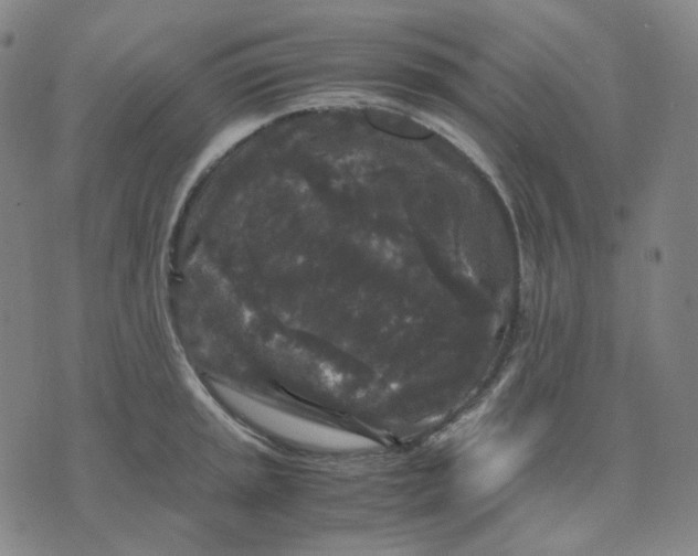 X0000071791045200607211617