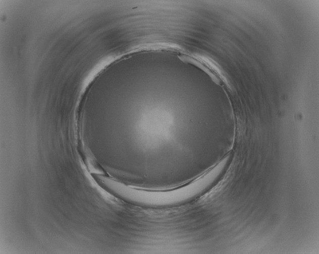 X0000071791046200607211617