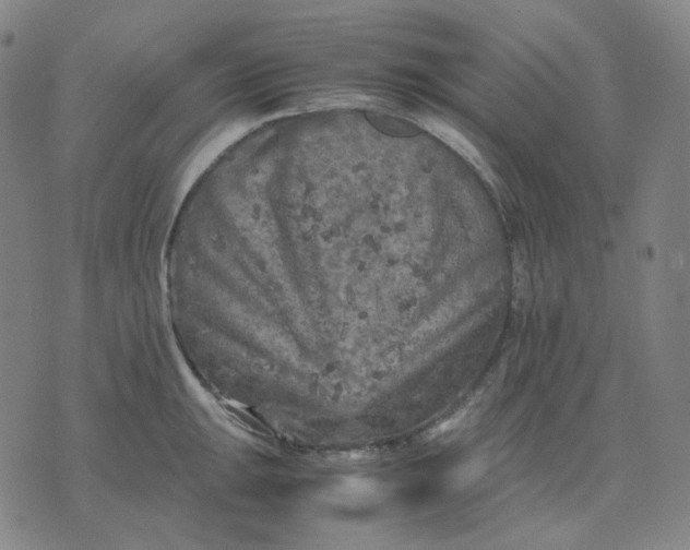 X0000071791047200607211617