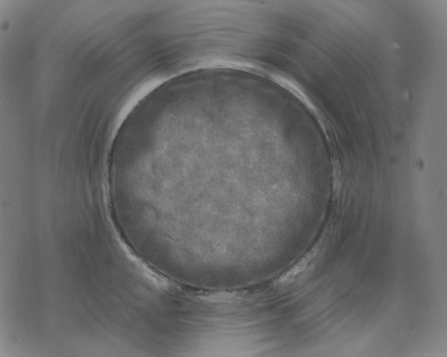 X0000071791048200607211617