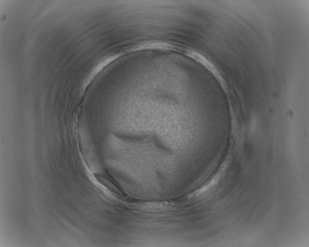 X0000071791049200607211617