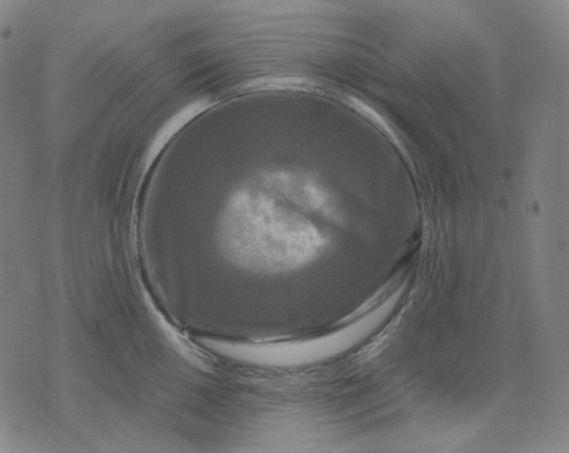 X0000071791050200607211617